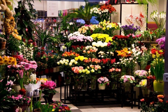 Какие Цветы Можно Купить В Магазине